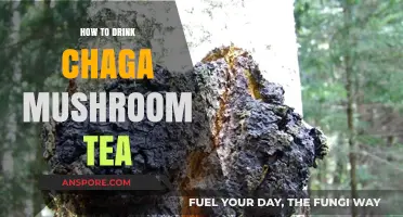 Discover the Art of Brewing and Sipping Chaga Mushroom Tea