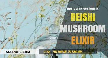 Unwind and Relax: Mastering the Art of Reishi Mushroom Elixir