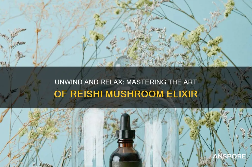 how to drink four sigmatic reishi mushroom elixir