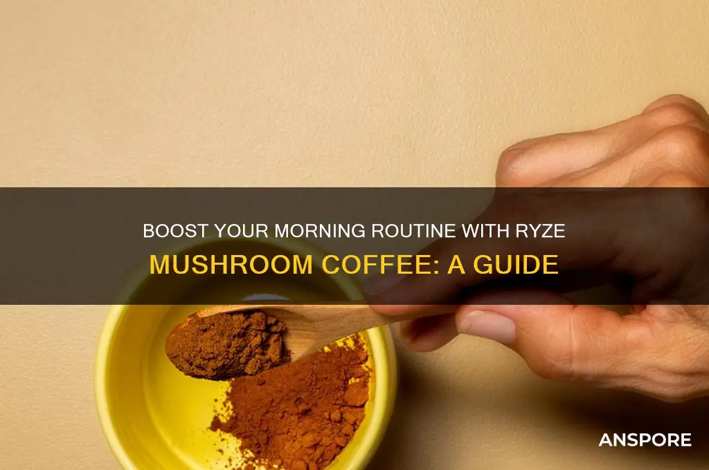 how to drink ryze mushroom coffee in the morning