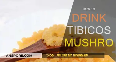 Tibicos Mushroom: A Healthy Beverage Option