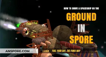 Mastering Ground Spaceflight: Driving a Spaceship in Spore