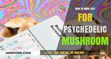 Detecting Psychedelic Mushrooms: A Comprehensive Guide to Drug Testing Methods