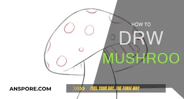 Drawing Mushrooms: A Step-by-Step Guide