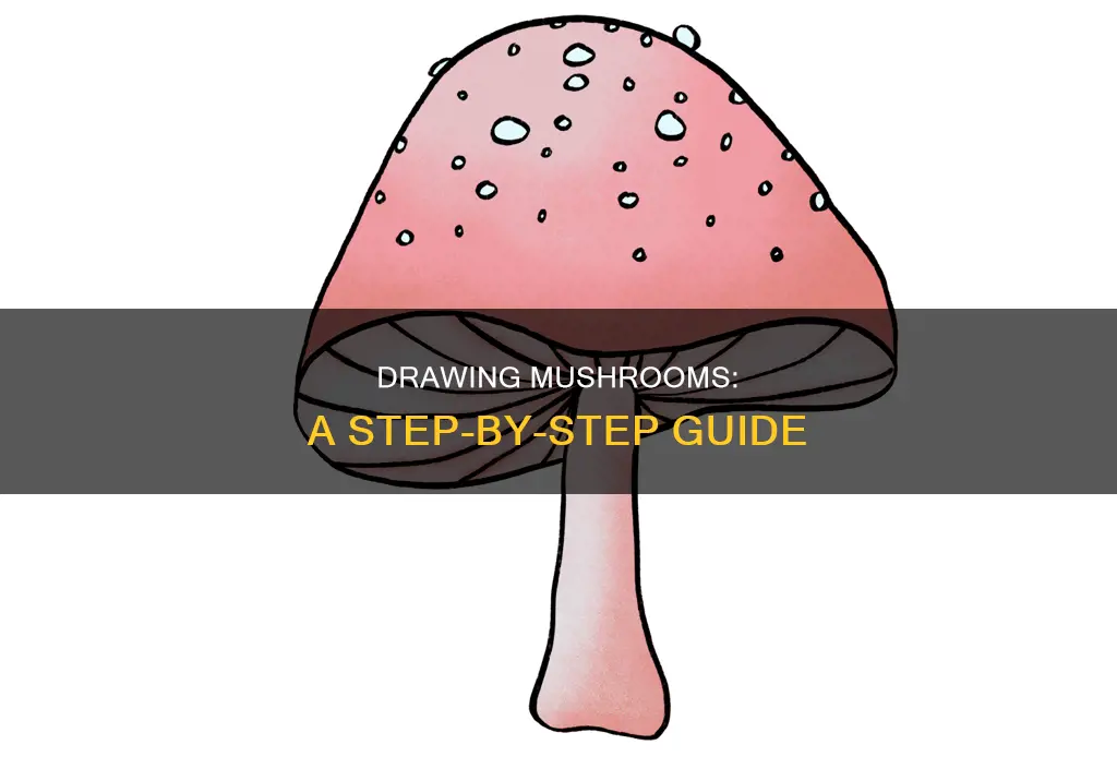how to drw mushroom