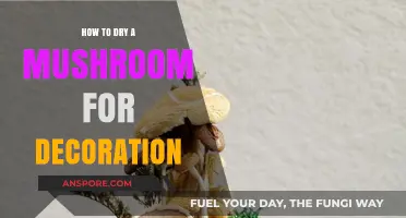 Creative Mushroom Drying Techniques for Stunning Decorative Displays