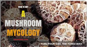 Mastering Mushroom Mycology: Effective Techniques for Drying Mushrooms Perfectly