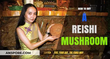 Mastering Reishi Mushroom Drying: Techniques for Optimal Preservation and Potency