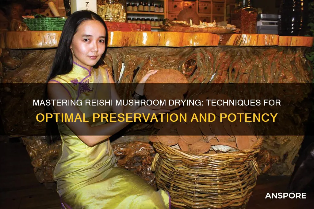 how to dry a reishi mushroom