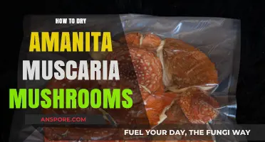 Drying Amanita Muscaria: A Step-by-Step Guide for Proper Preservation