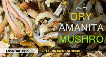 Drying Amanita Mushrooms: Best Techniques and Practices