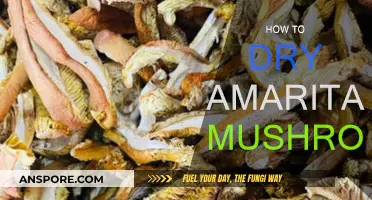Drying Amarita Mushrooms: A Step-by-Step Guide