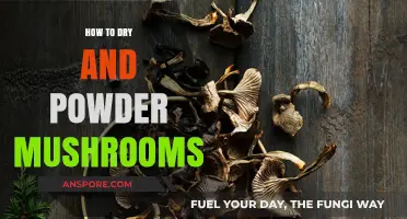 Mastering Mushroom Preservation: Drying and Powdering Techniques for Longevity