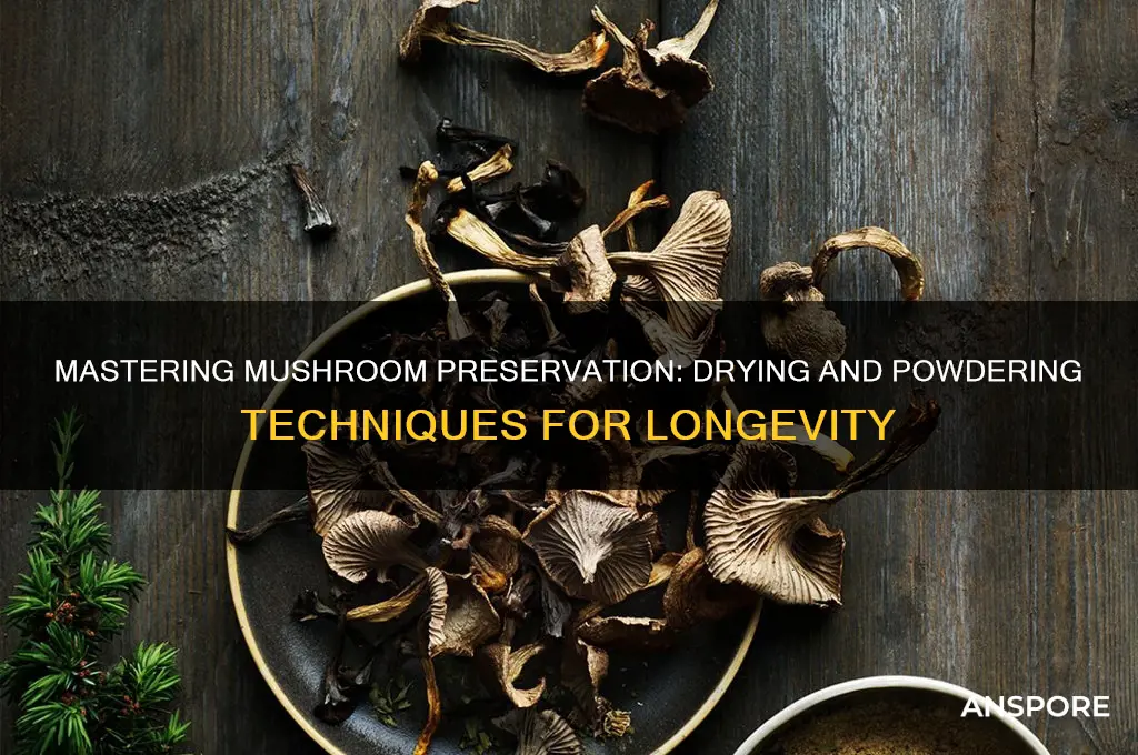 how to dry and powder mushrooms