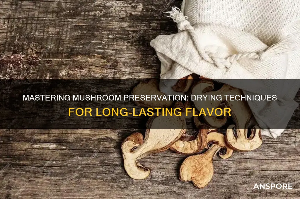 how to dry and preserve mushrooms
