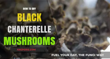 Perfectly Preserving Black Chanterelles: A Guide to Drying Mushrooms