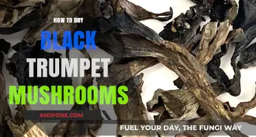 Mastering the Art of Drying Black Trumpet Mushrooms: A Step-by-Step Guide