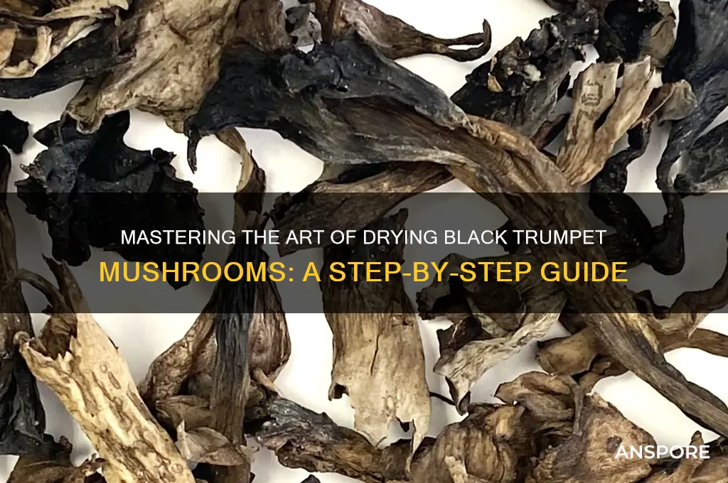 how to dry black trumpet mushrooms