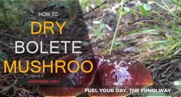 Drying Bolete Mushrooms: A Step-by-Step Guide
