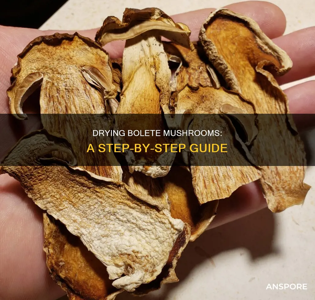 how to dry bolete mushrooms