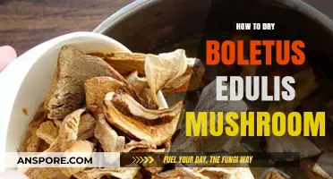 Perfectly Preserving Porcini: A Guide to Drying Boletus Edulis Mushrooms