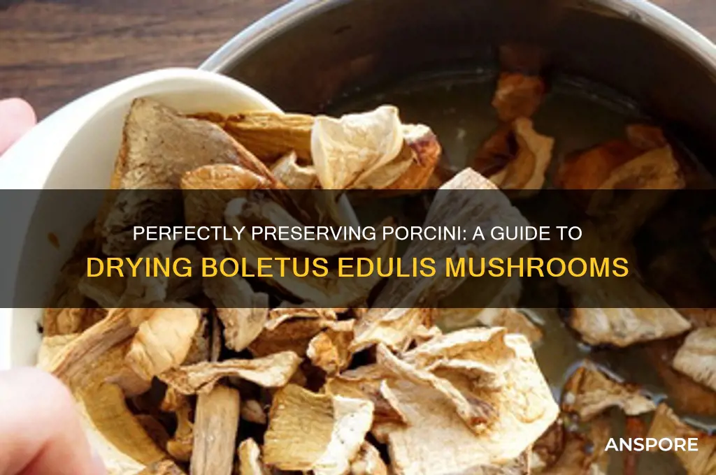 how to dry boletus edulis mushrooms