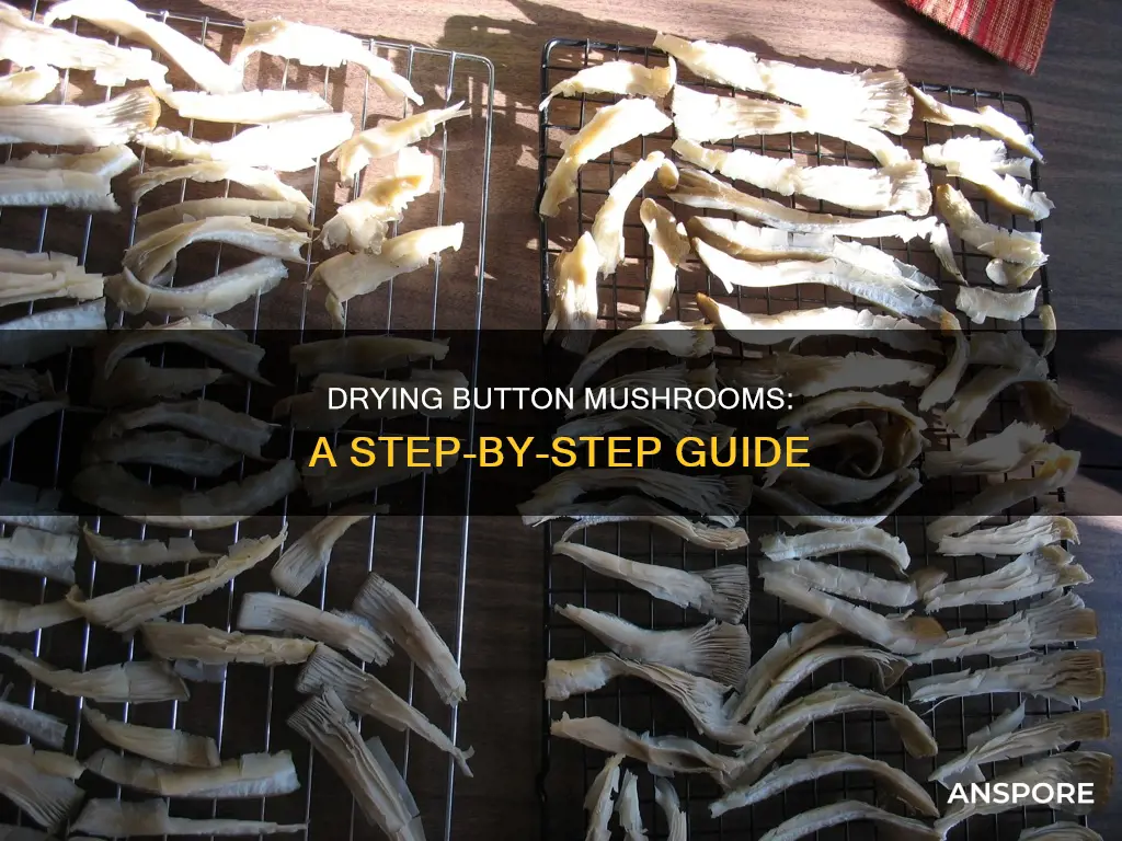 how to dry button mushroom