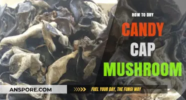 Mastering the Art of Drying Candy Cap Mushrooms for Perfect Flavor