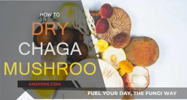 Drying Chaga Mushrooms: Best Techniques and Practices