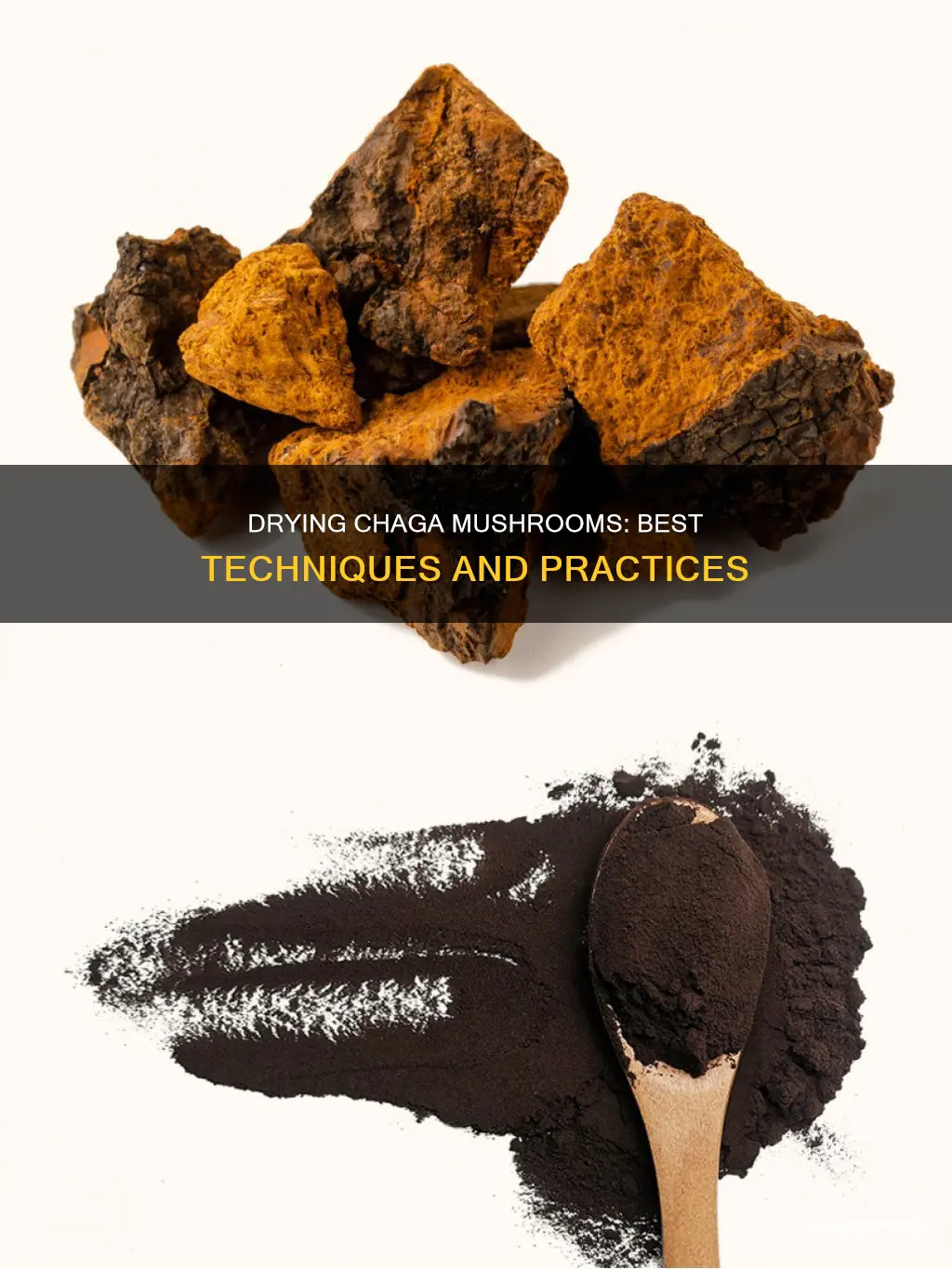 how to dry chaga mushroom