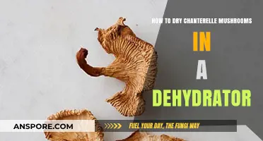 Dehydrating Chanterelle Mushrooms: A Simple Guide for Perfect Preservation