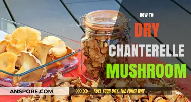 Drying Chanterelle Mushrooms: A Step-by-Step Guide