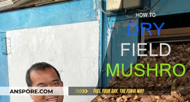 Drying Field Mushrooms: The Ultimate Guide