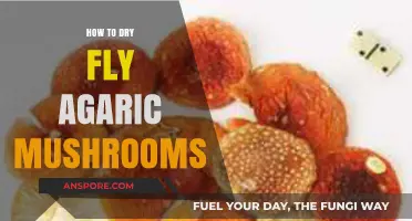 Drying Fly Agaric Mushrooms: A Step-by-Step Preservation Guide