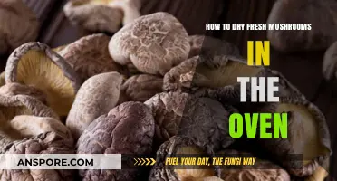 Oven-Drying Fresh Mushrooms: A Simple Preservation Guide