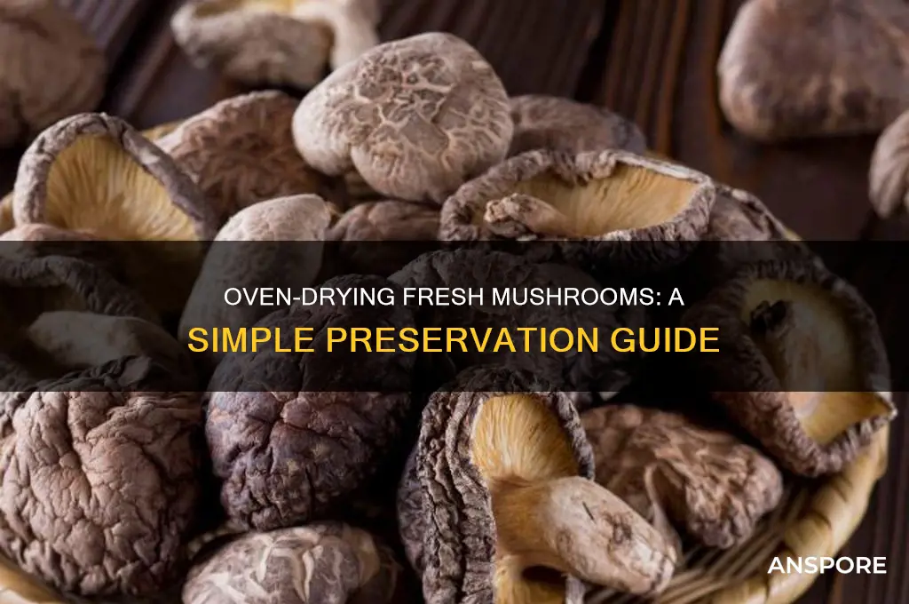 how to dry fresh mushrooms in the oven