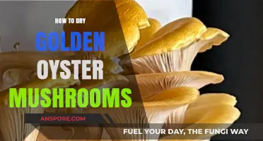 Mastering the Art of Drying Golden Oyster Mushrooms at Home
