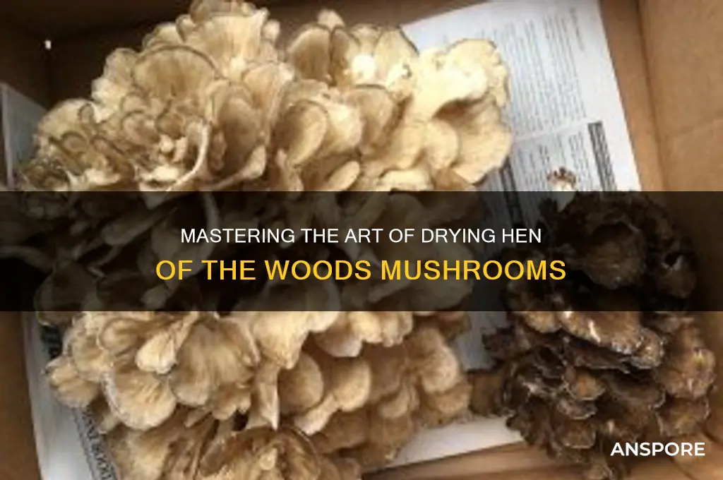 how to dry hen of the woopds mushrooms