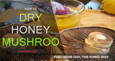 Drying Honey Mushrooms: A Step-by-Step Guide