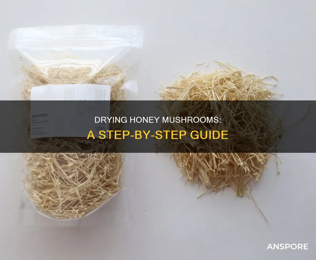 how to dry honey mushrooms
