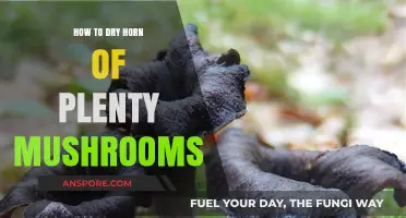 Mastering the Art of Drying Horn of Plenty Mushrooms at Home