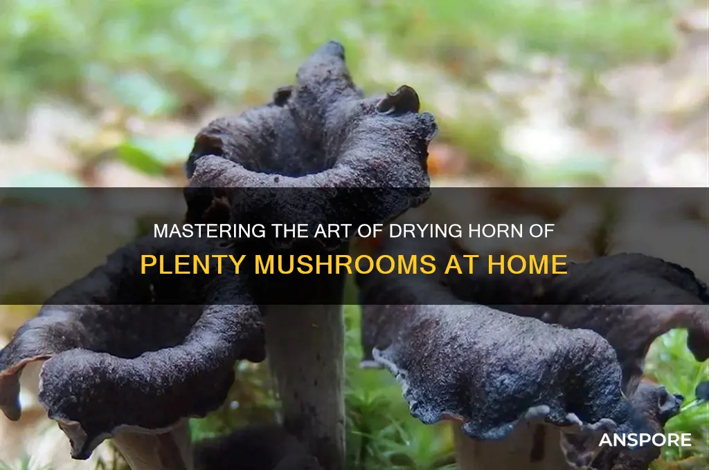 how to dry horn of plenty mushrooms