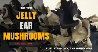 Drying Jelly Ear Mushrooms: A Simple Guide for Perfect Preservation