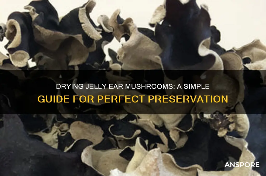 how to dry jelly ear mushrooms