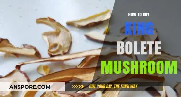 Mastering the Art of Drying King Bolete Mushrooms for Longevity