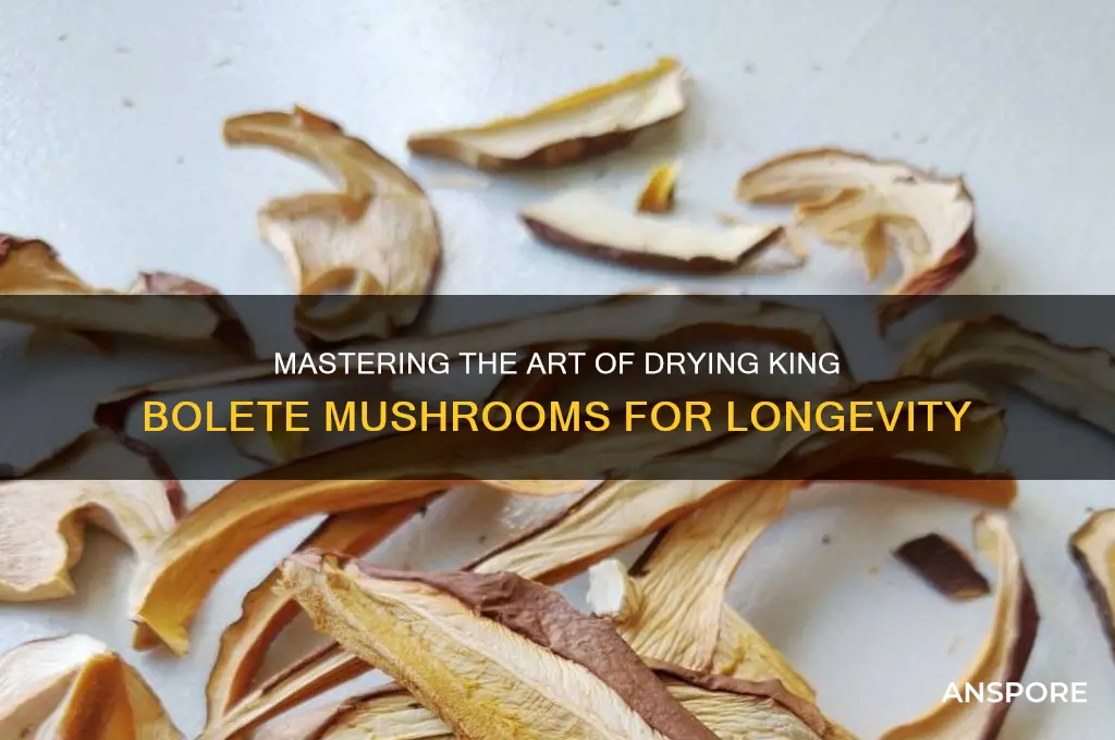 how to dry king bolete mushrooms