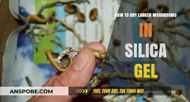 Drying Large Mushrooms with Silica Gel: A Step-by-Step Guide