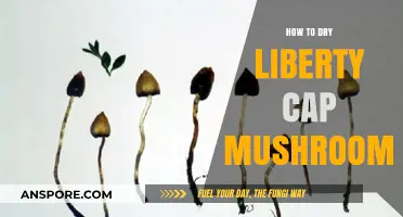 Drying Liberty Cap Mushrooms: A Step-by-Step Preservation Guide