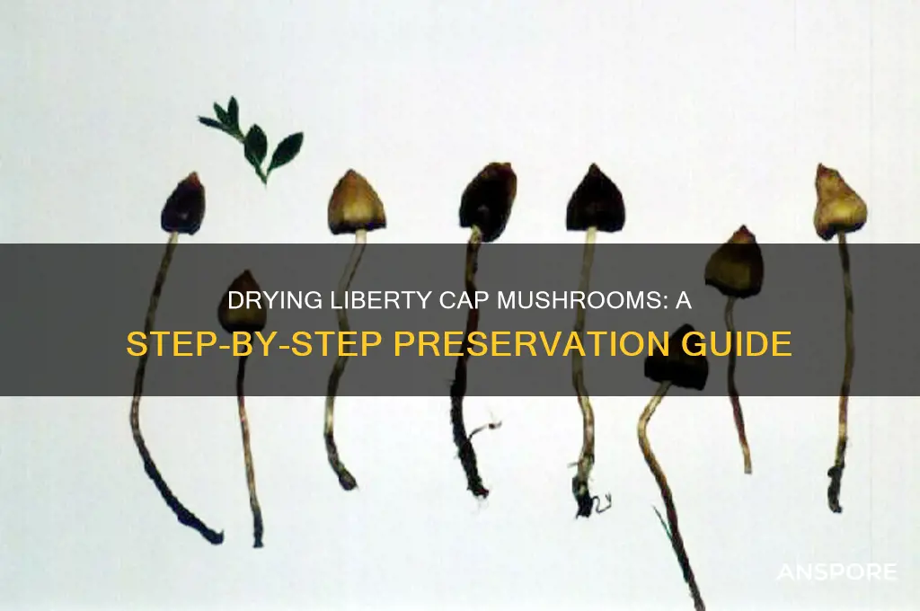 how to dry liberty cap mushrooms