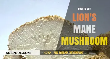 Mastering the Art of Drying Lion's Mane Mushrooms for Optimal Flavor